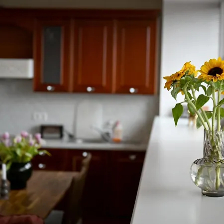 2Br Apartment In City Centre Daire Tallinn