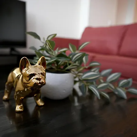 2Br Apartment In City Centre Apartment Tallinn